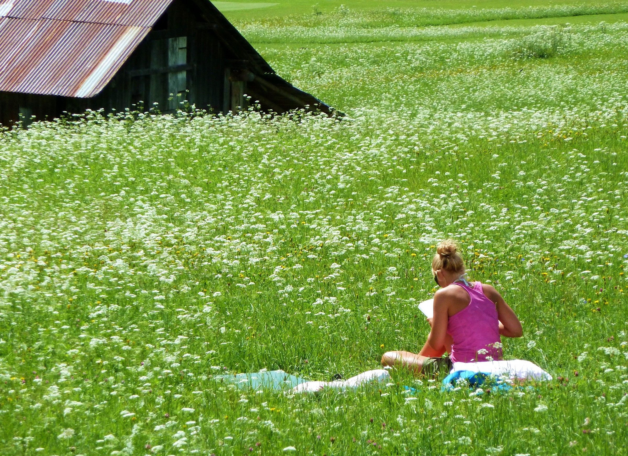 Lettura all'aperto...attenta alle zecche però!!