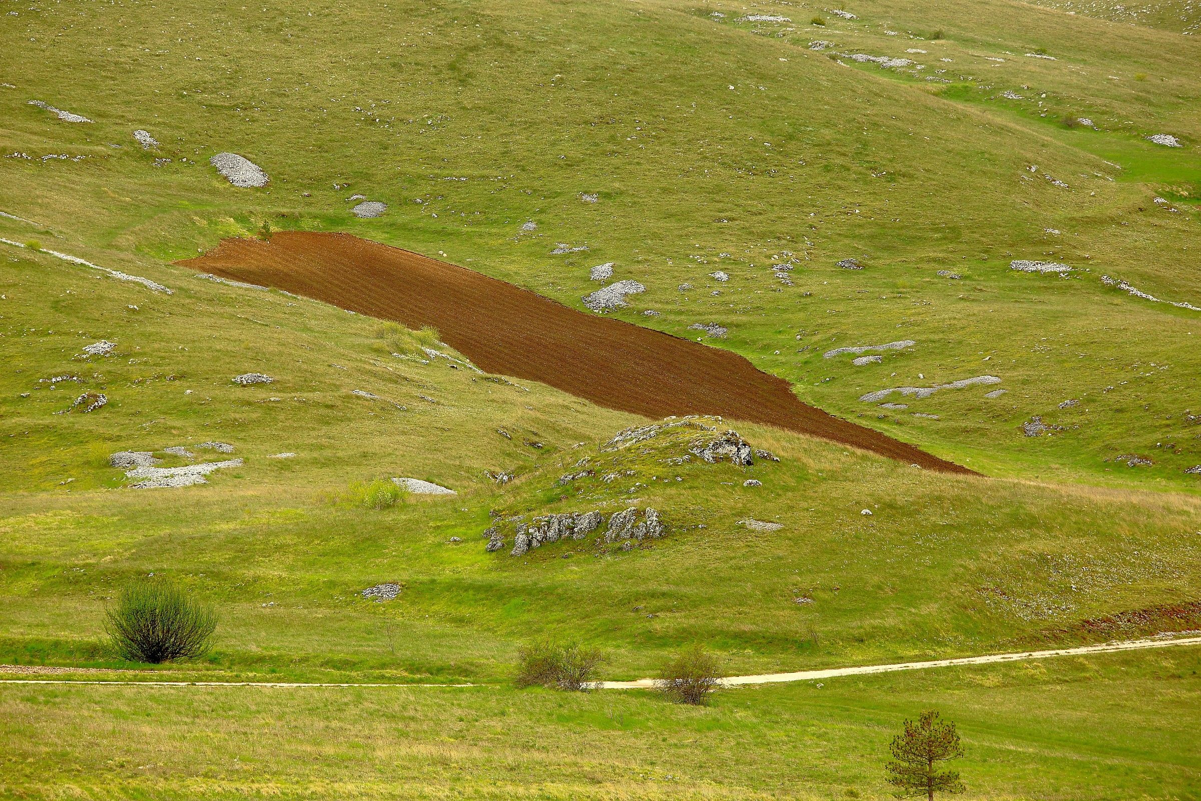 Piccola agricoltura di montagna.