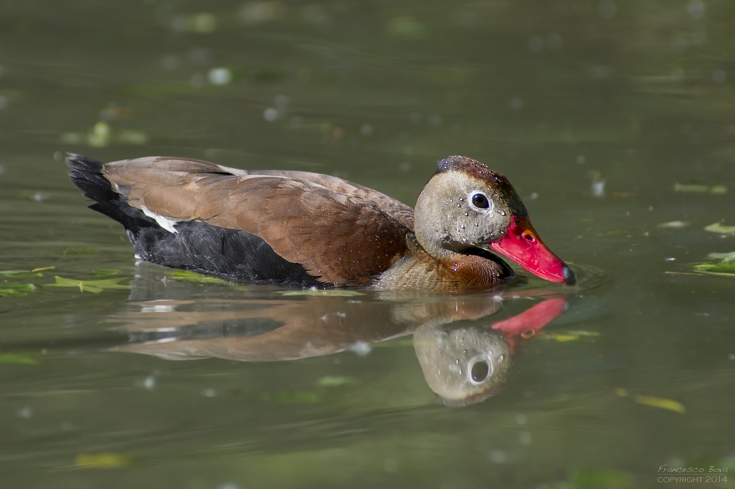 Can anyone tell me what is it?