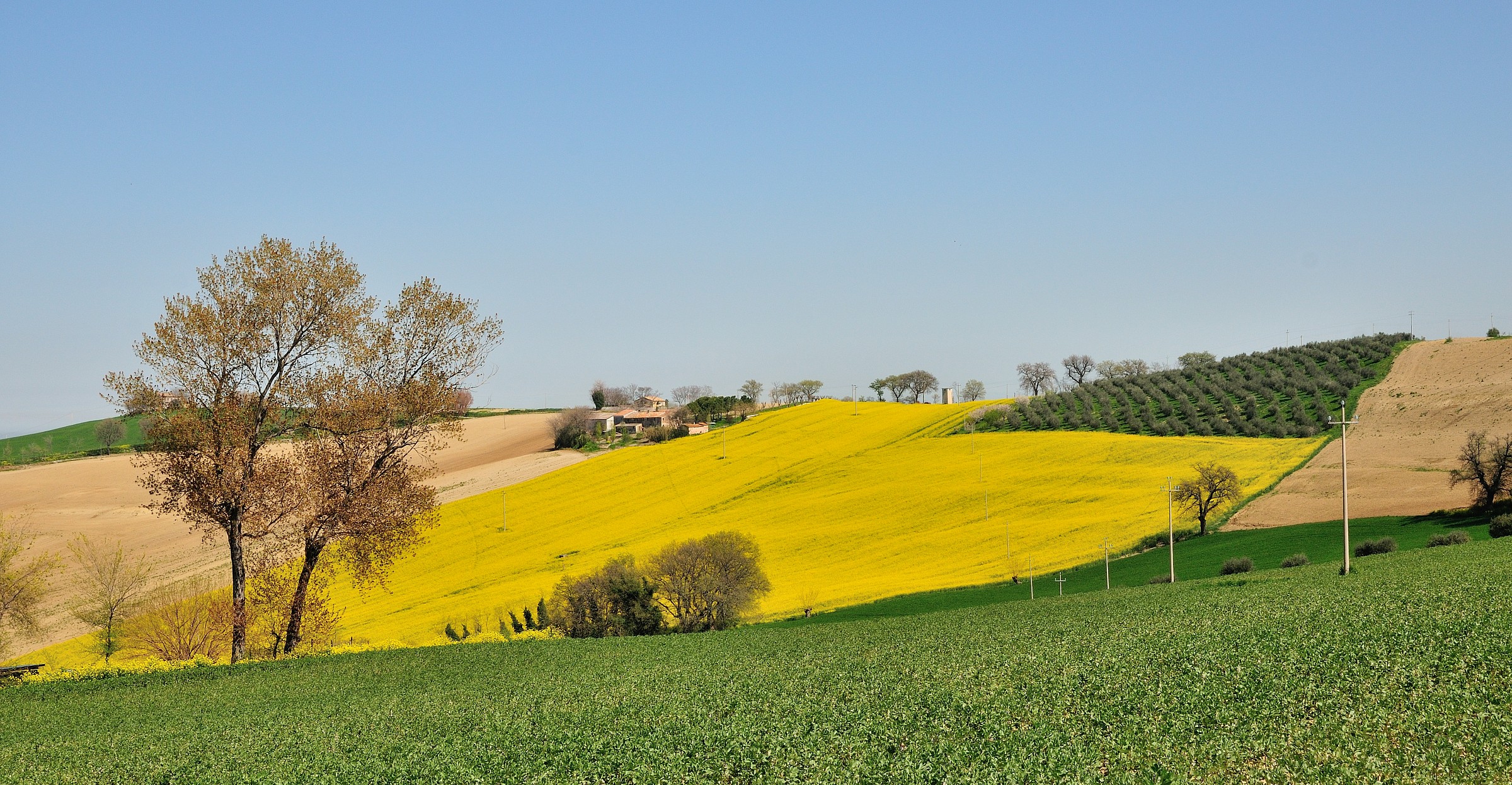 hills of St. Friend 1