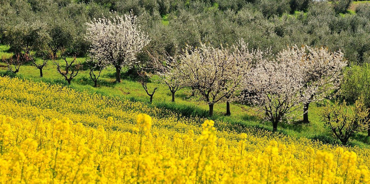 hills of St. Friend 2