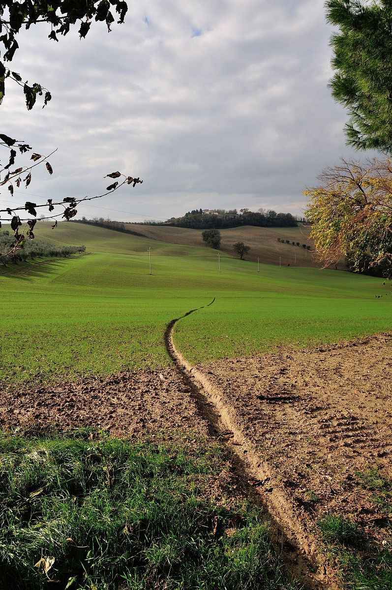 hills of St. Friend 4