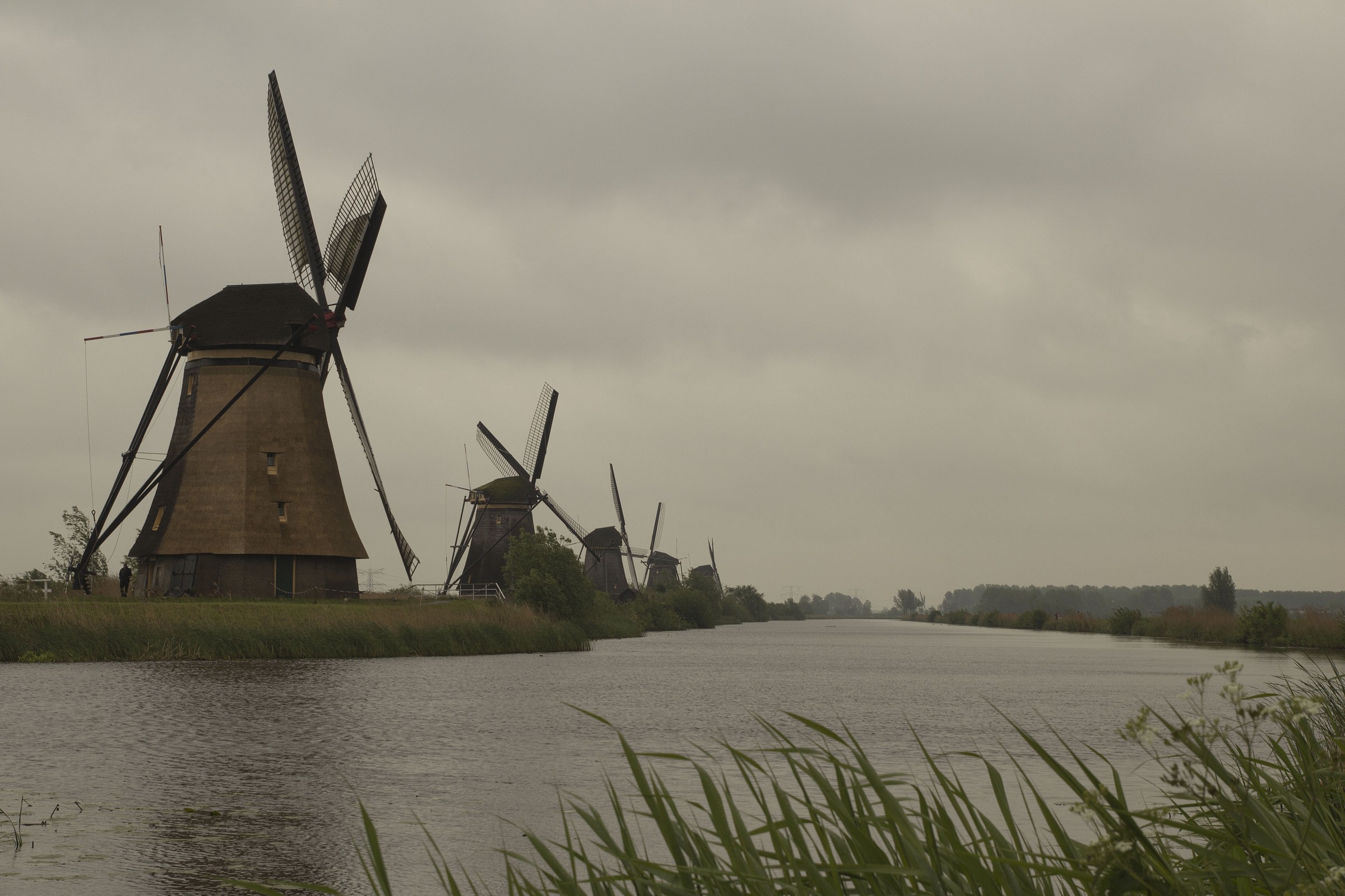 windmills