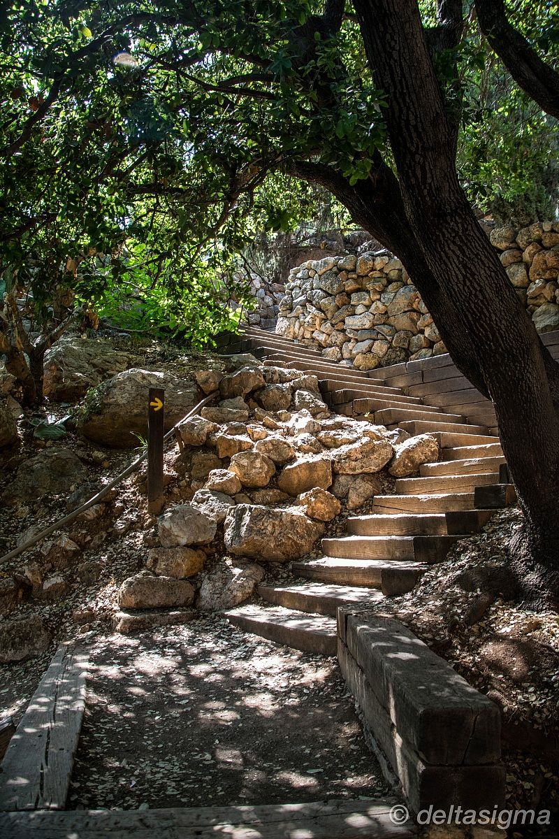 ...direzione luce...