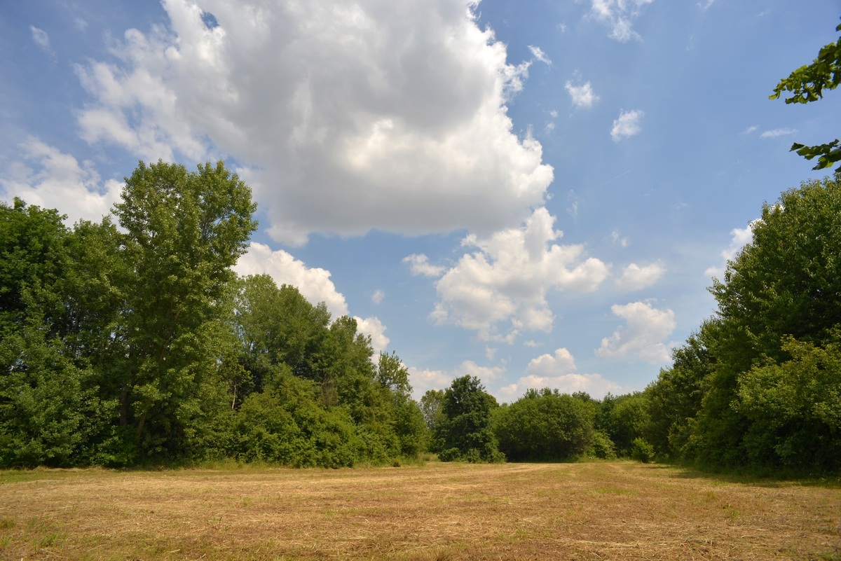Oasi Lipu Cesano Maderno