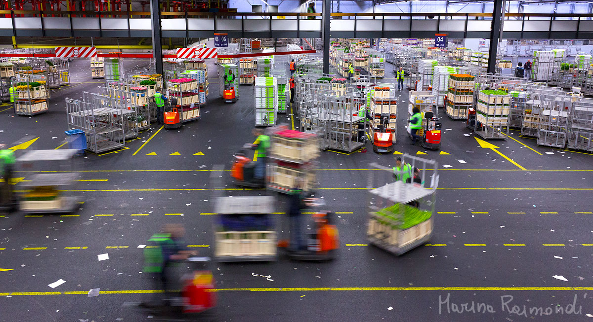 Flora Holland 04 ... si parte