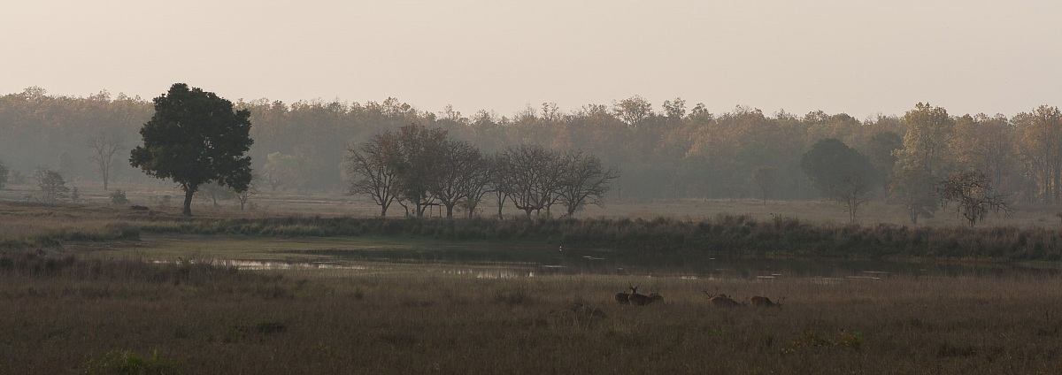 Panorama (ritagliata solo verticalmente)