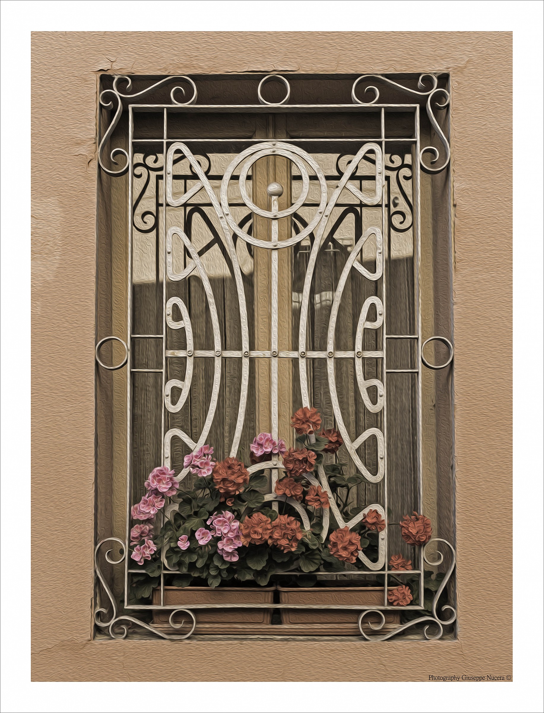 Cremona - Windows & Flower