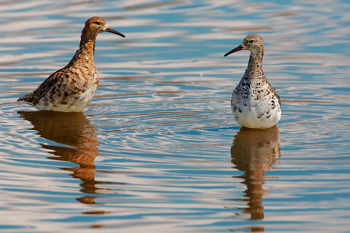 Now we talk about it