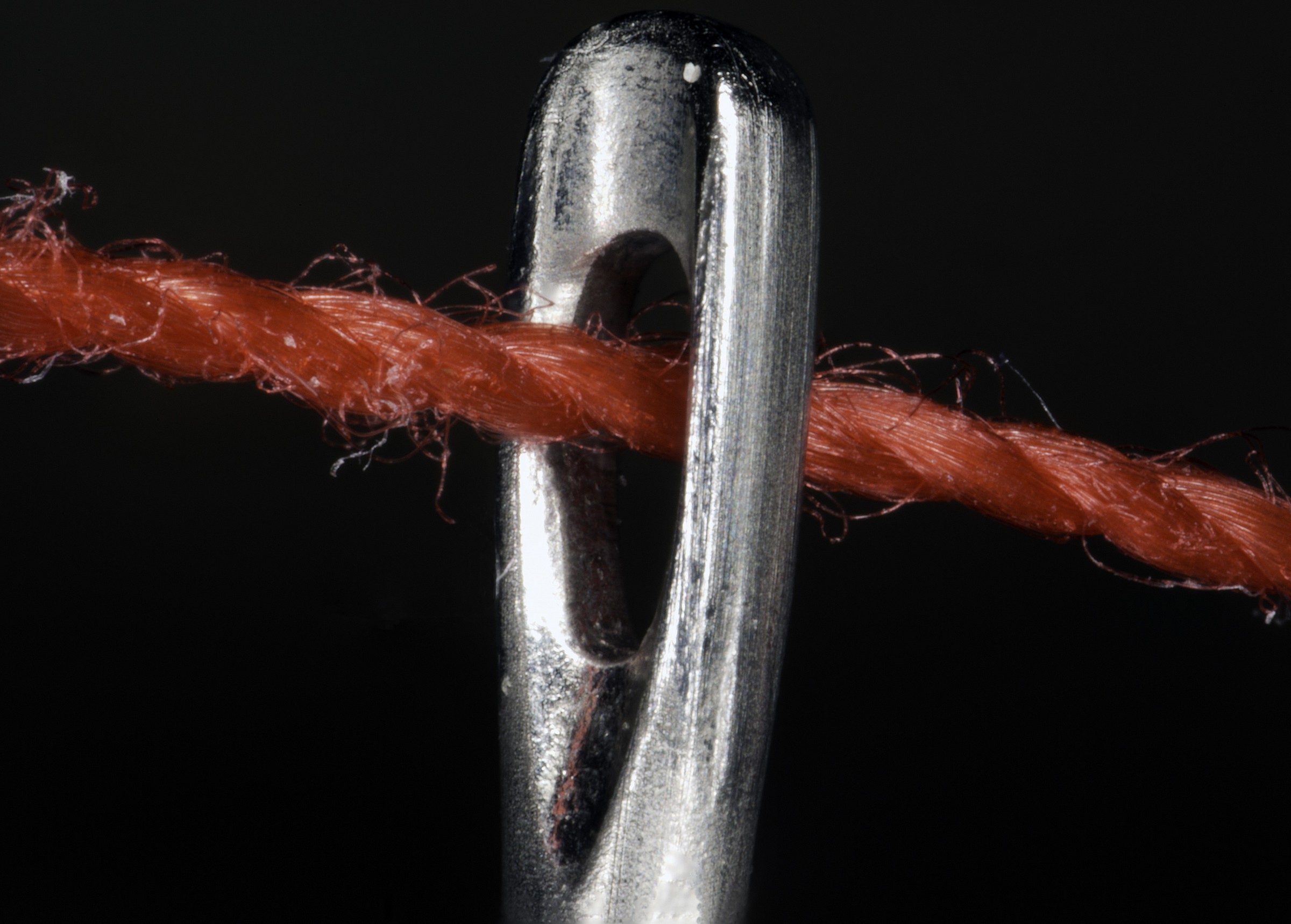 Nella cruna dell'ago