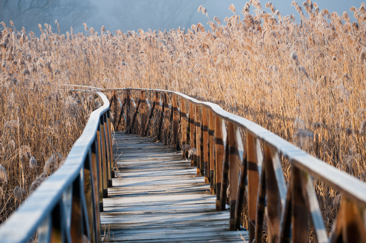 due passi verso il paradiso