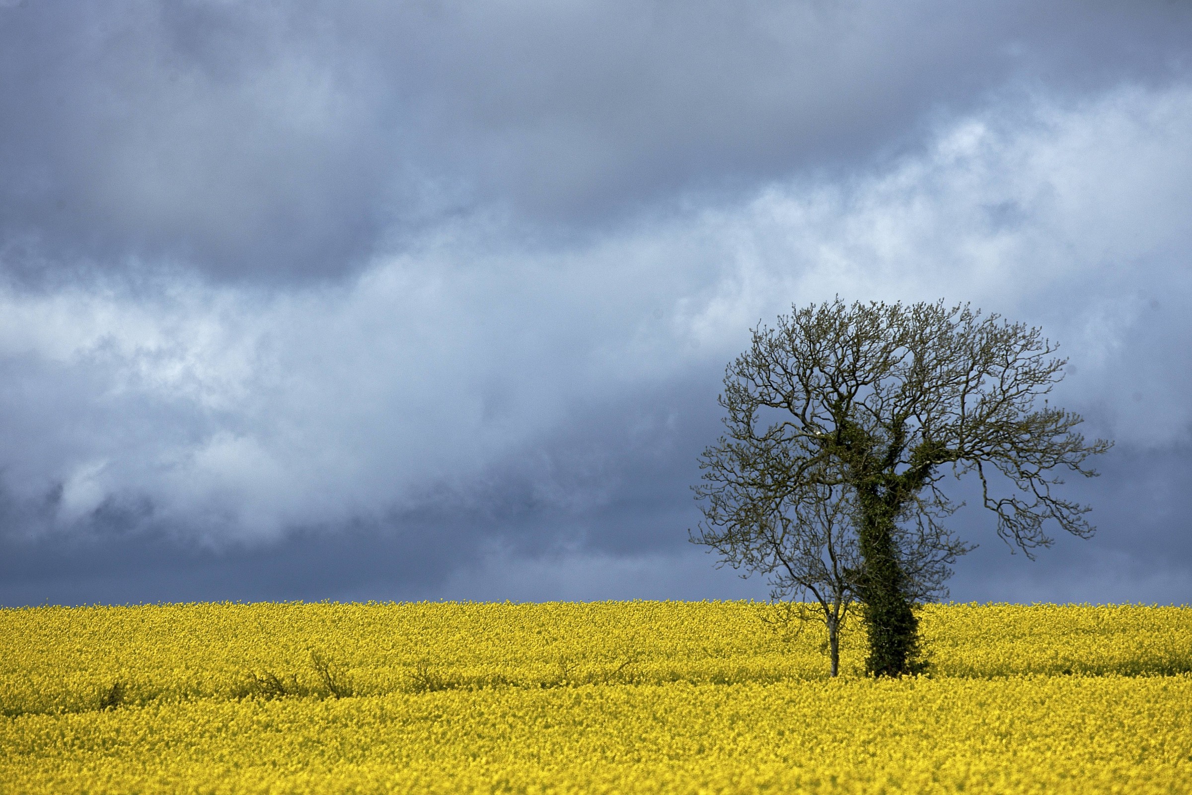 Hill of Tara, Co. Meath