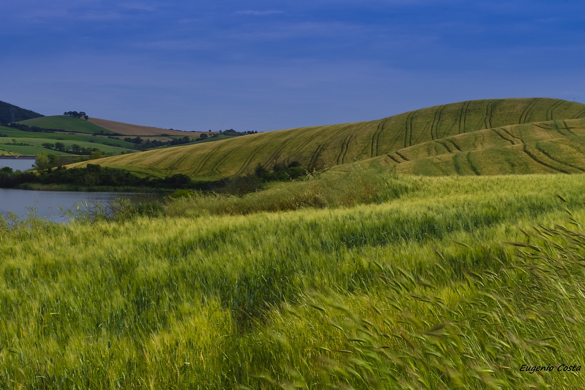 Santa Luce (Pisa) Lake