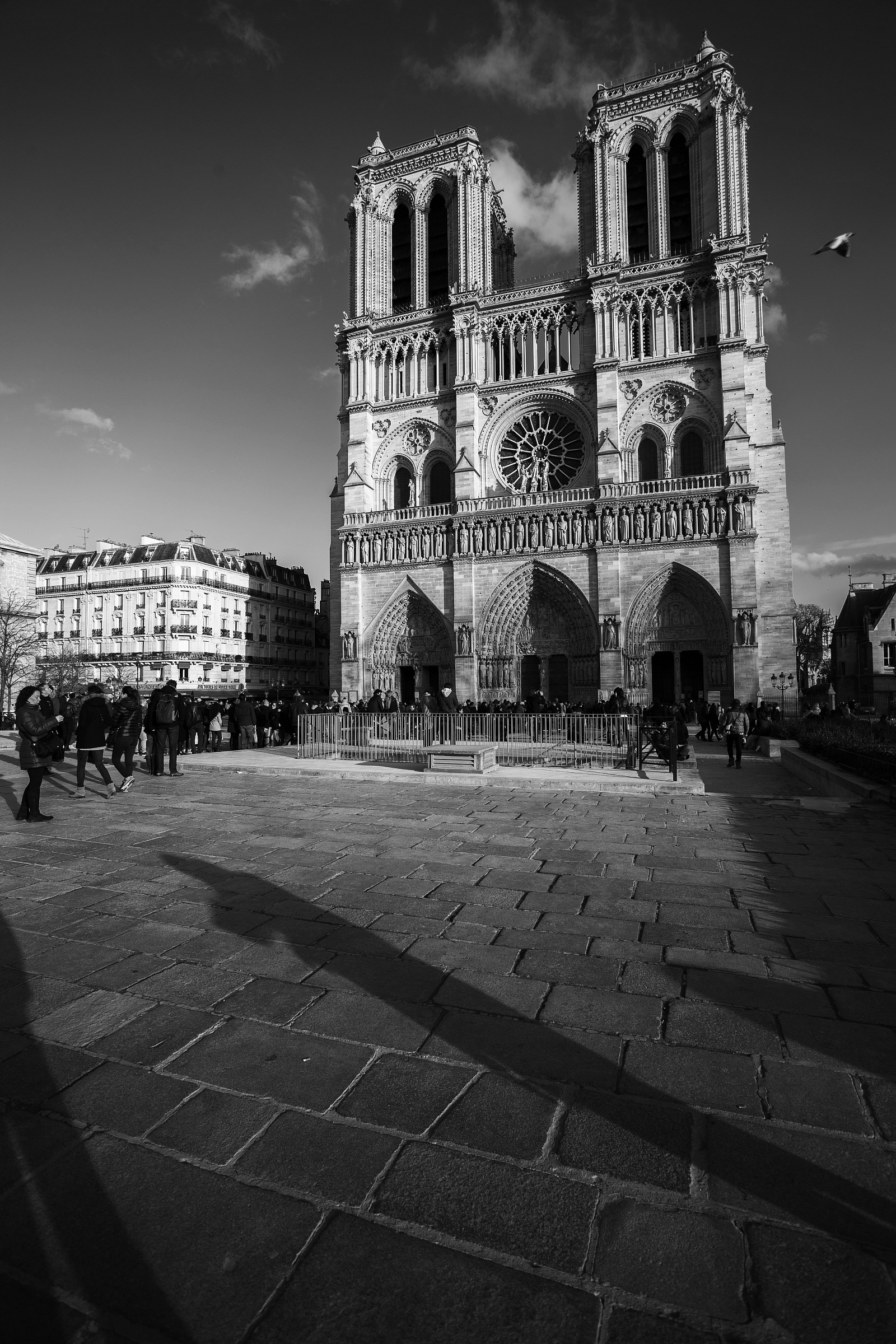 Notre Dame in BW