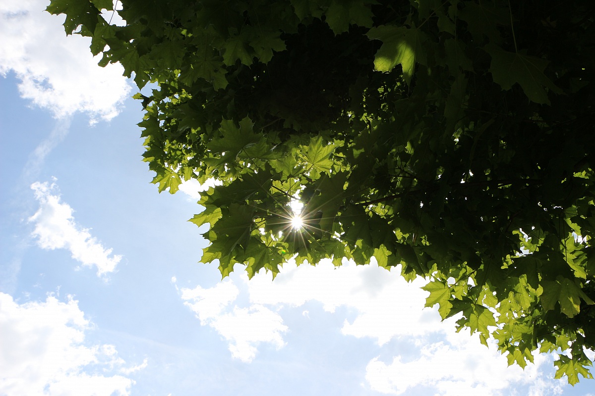 L'estate sta per cominciare ...