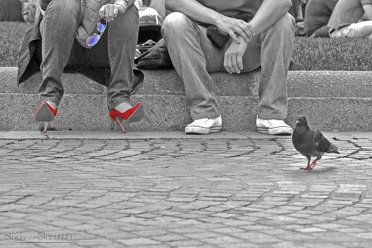 Piccione e...piccioncini