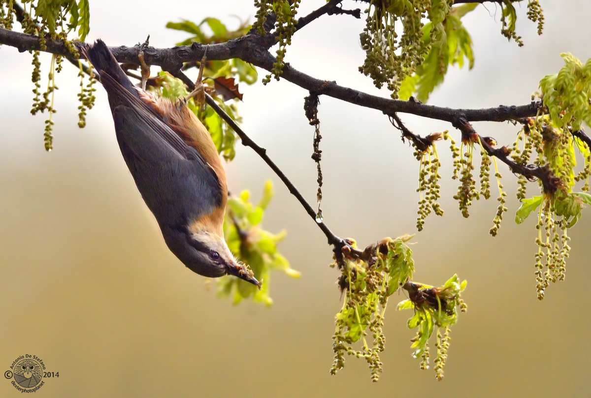 ...stavolta mi sa che mi rimarrà tutto sullo stomaco