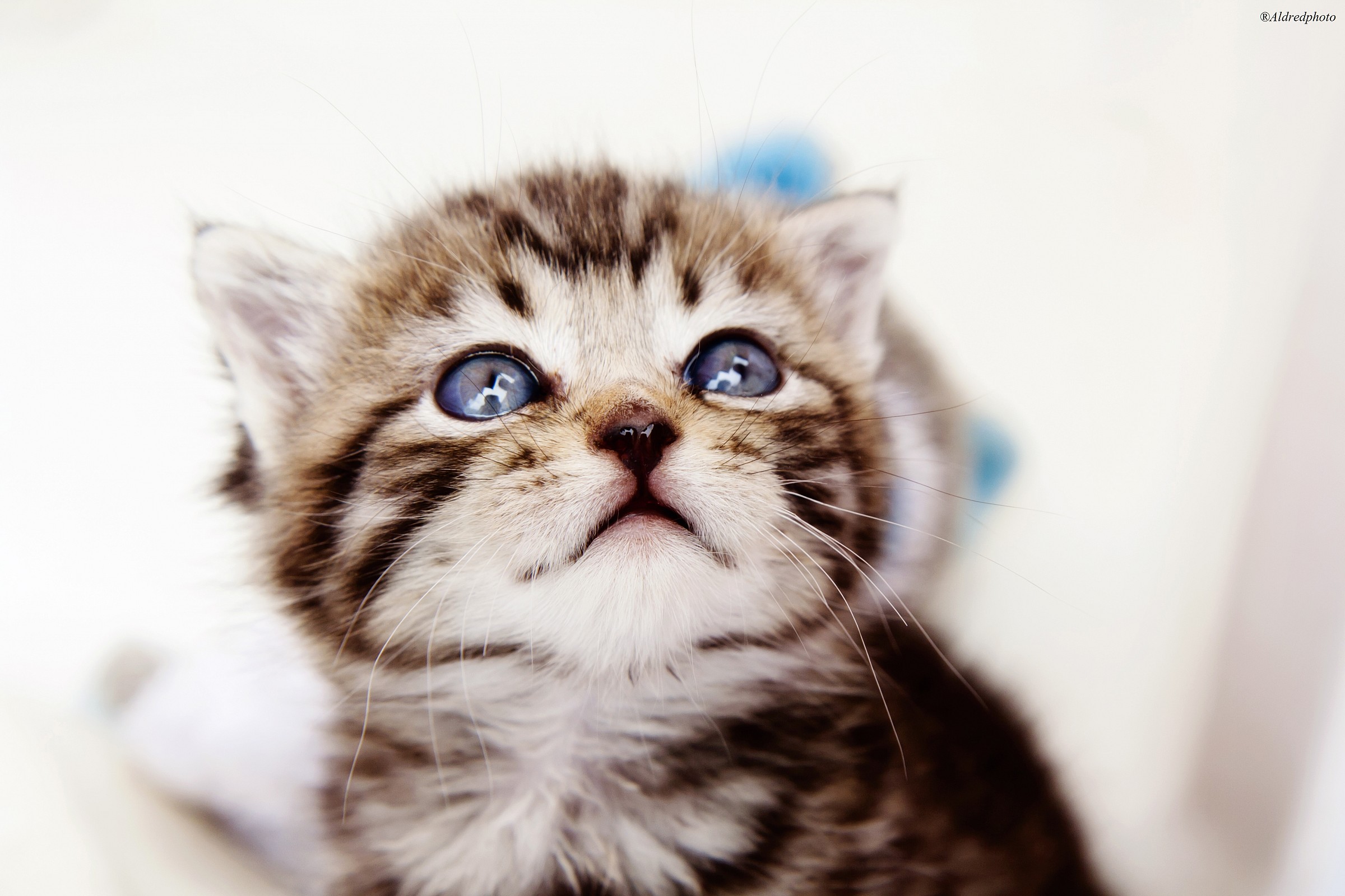 Waiting for a name 2