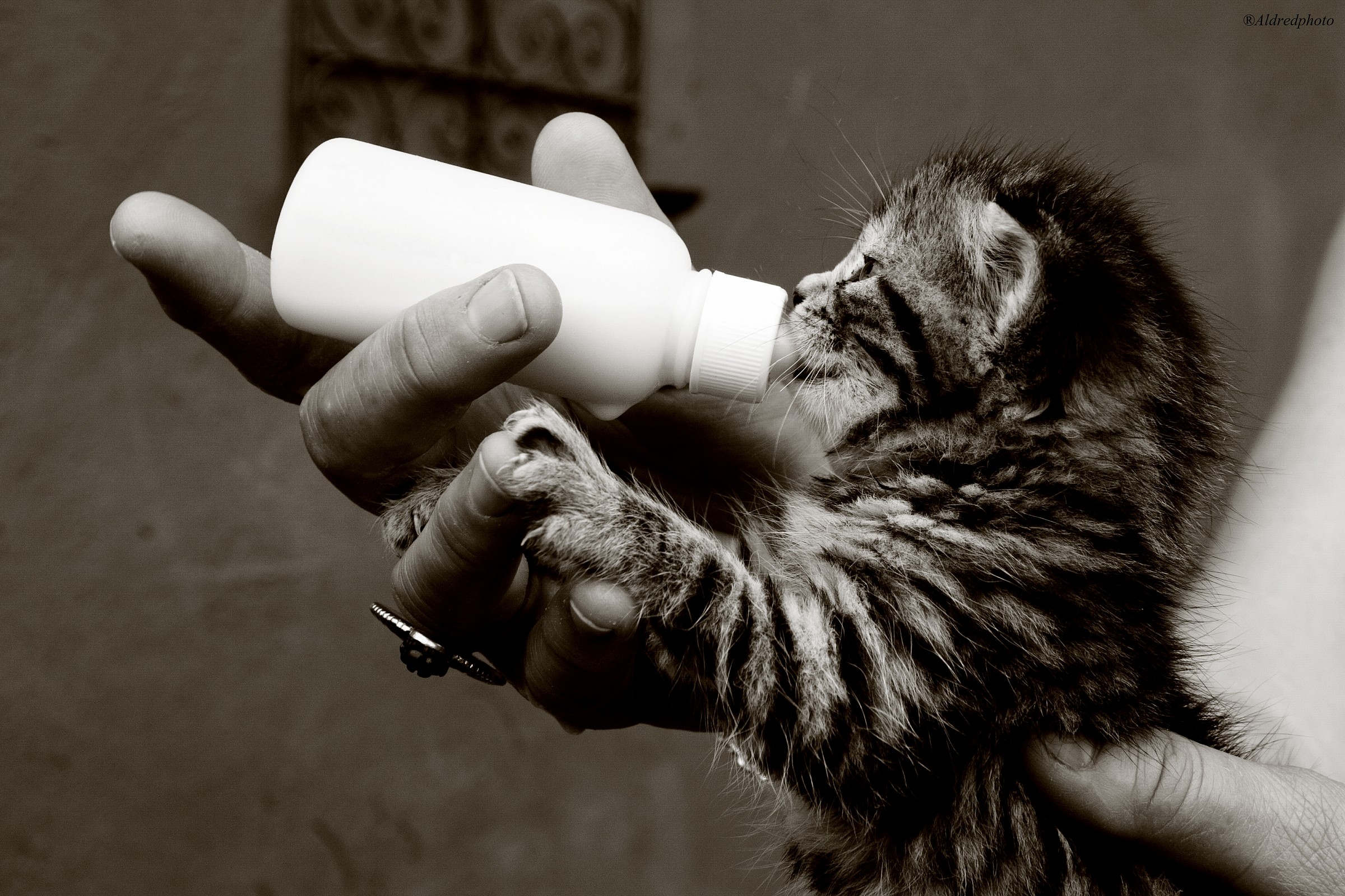 Waiting for a name 1