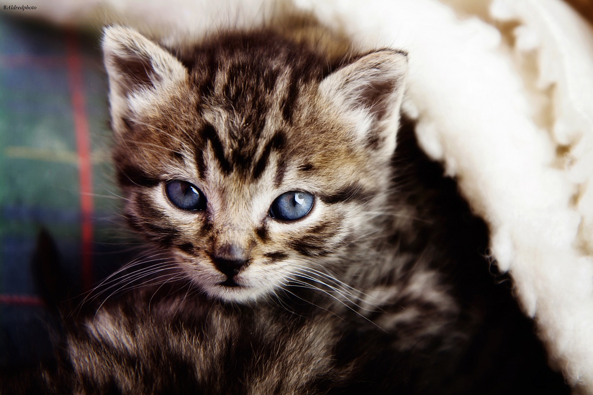 Waiting for a name 1