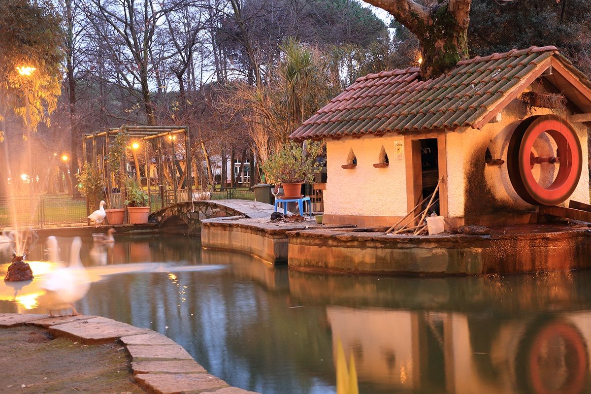 il laghetto in pineta