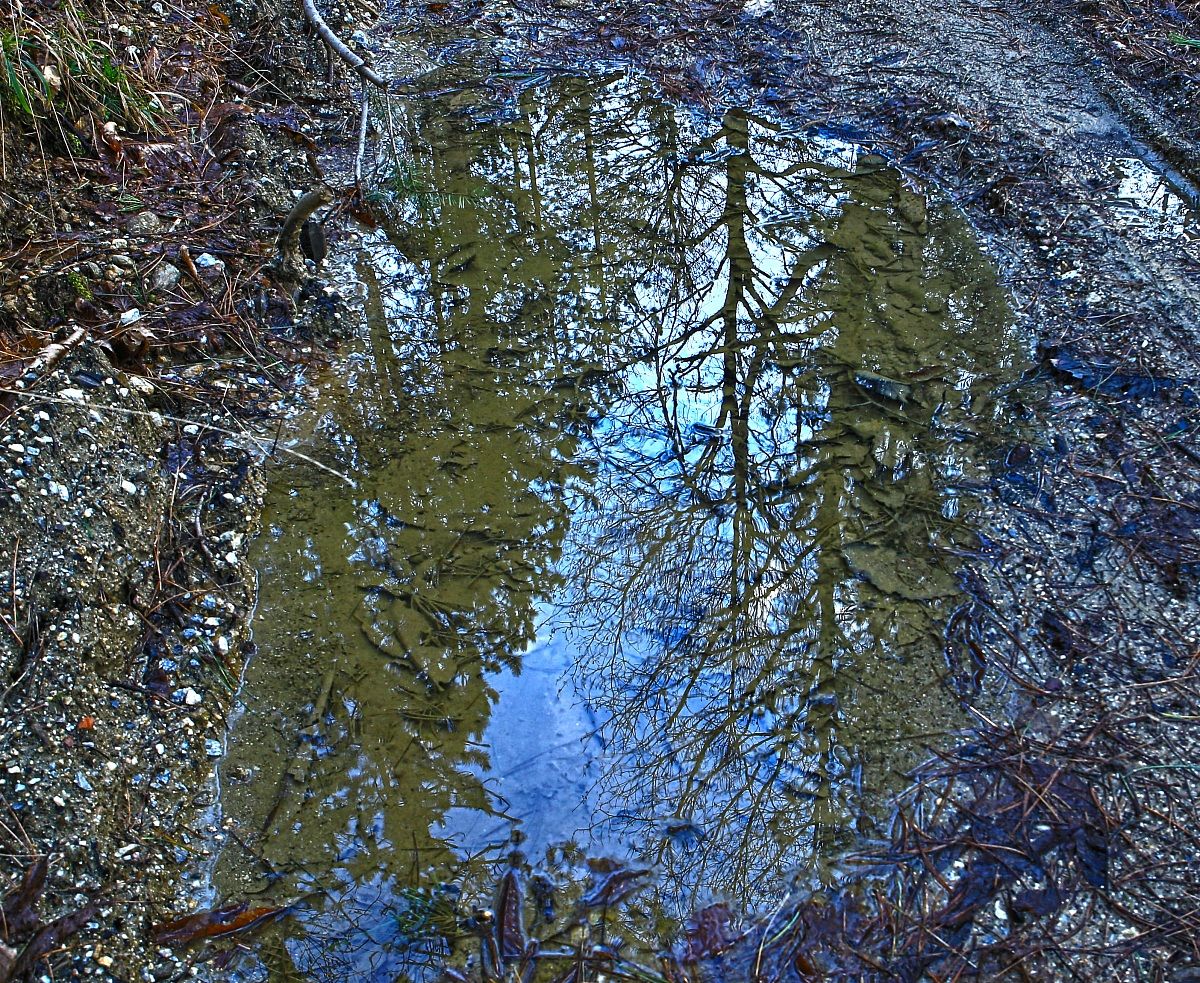 reflections-2