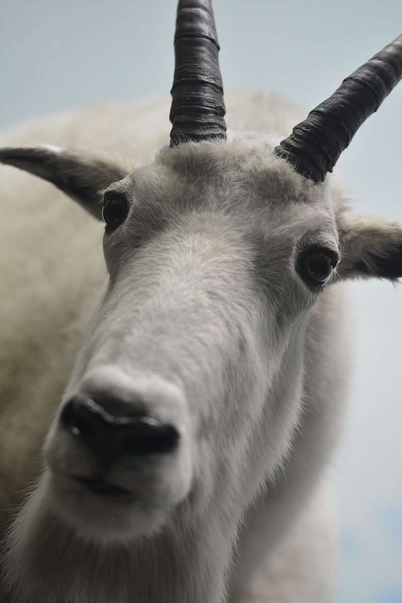 incontri ravvicinati