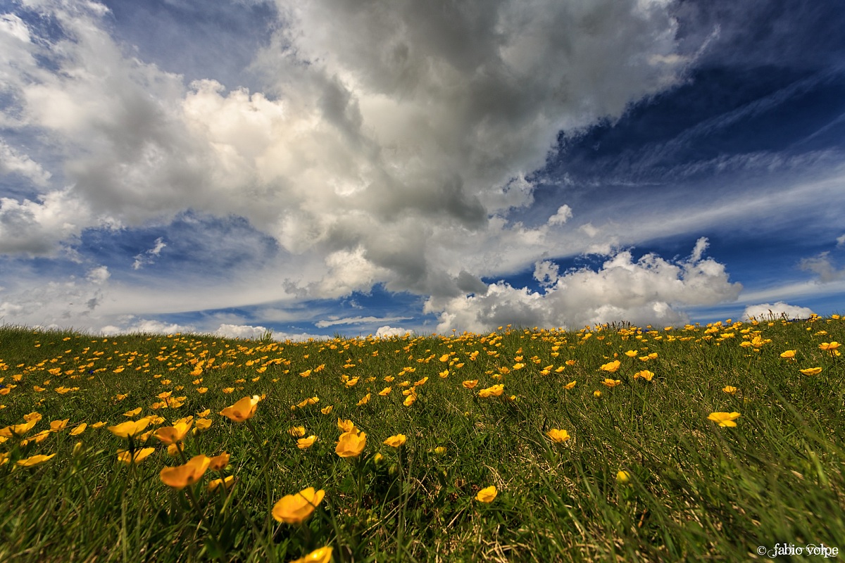 Between earth and sky
