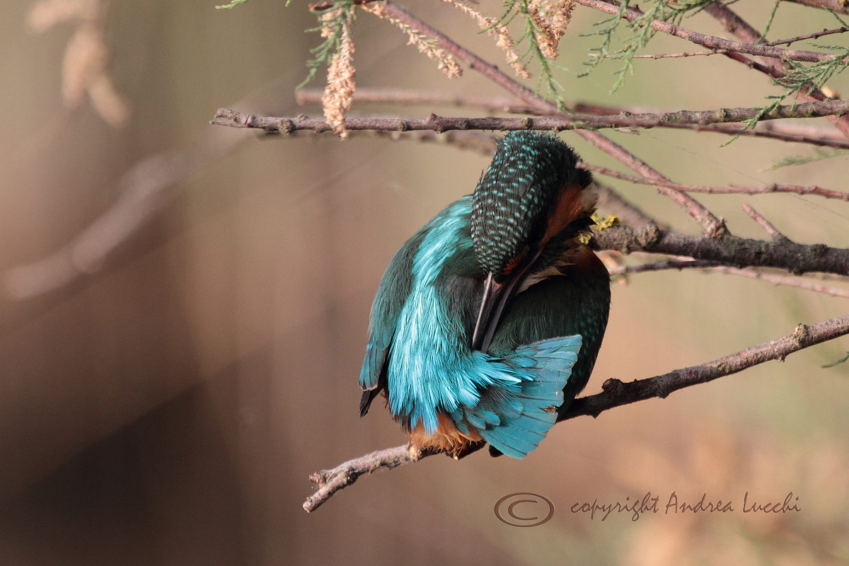 dopo la pesca ...pulizia!