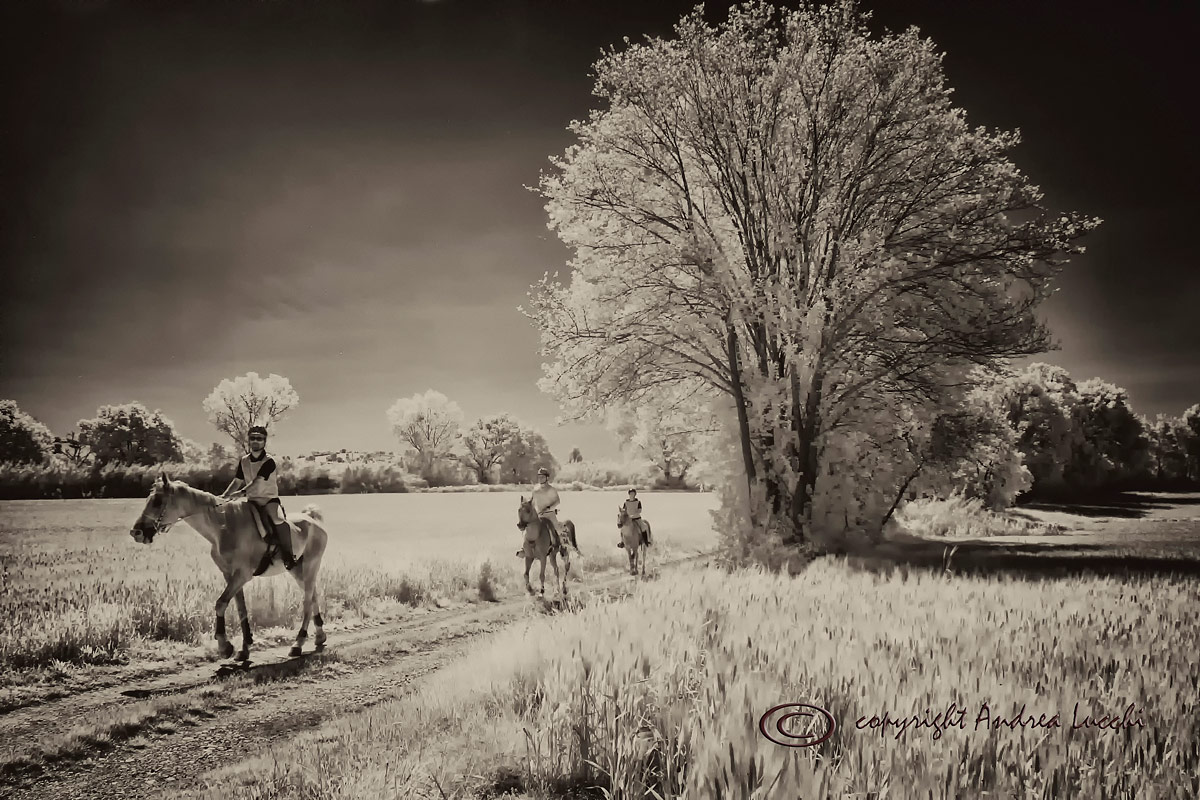 passeggiata campestre