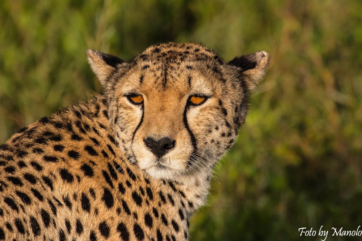 L 'Africa nei suoi occhi