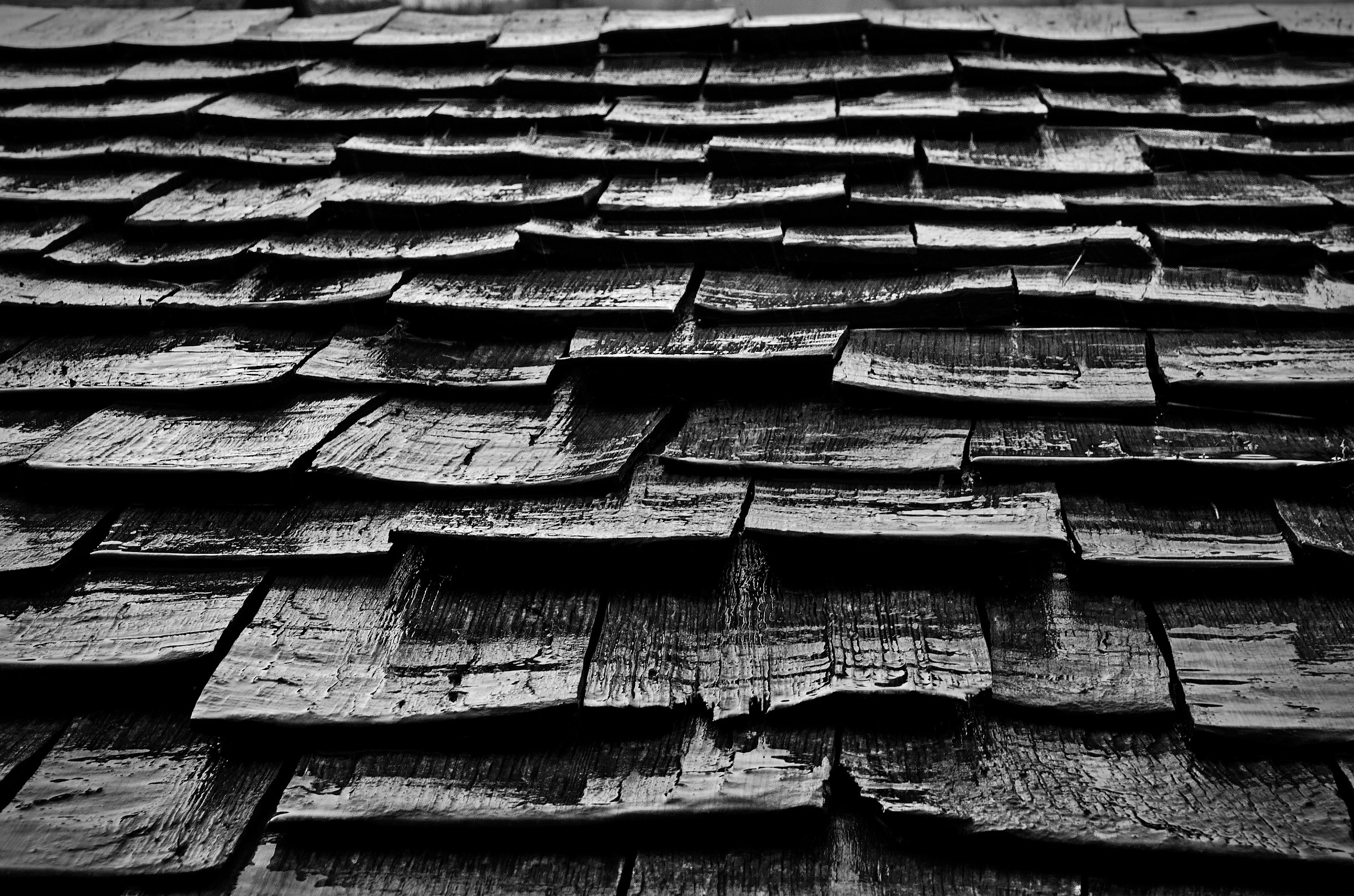 Wet Wooden Tiles