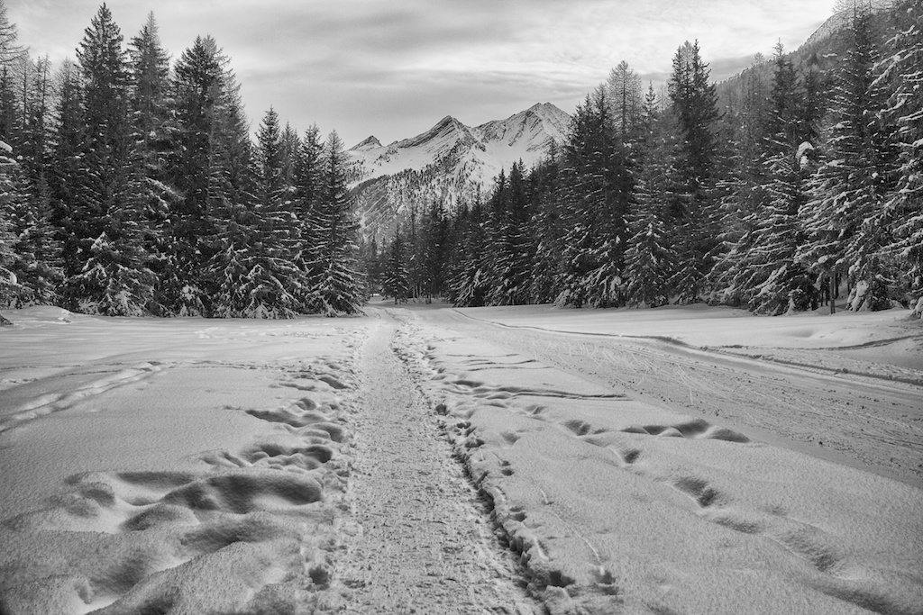 It 's been here for Santa?!