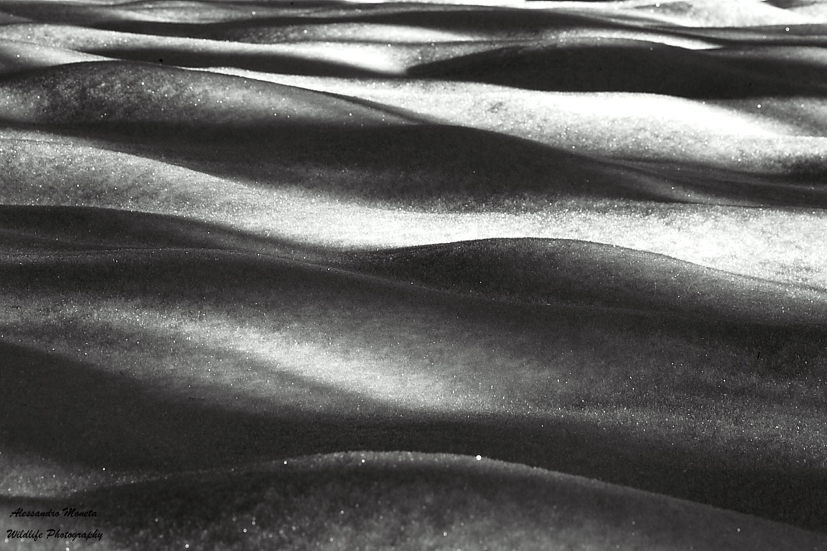 Lights and Shadows 3