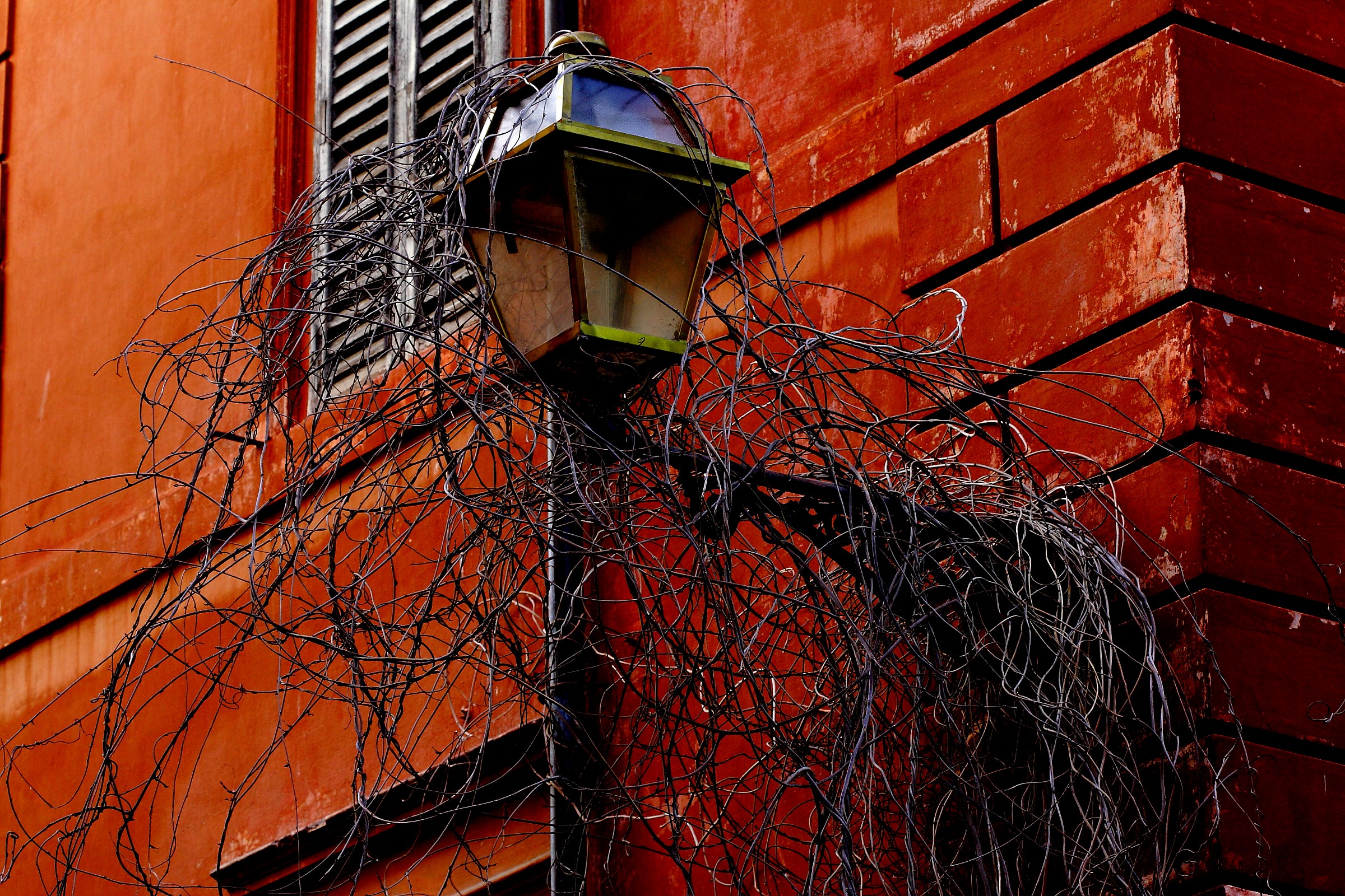 where nature ends begins the city