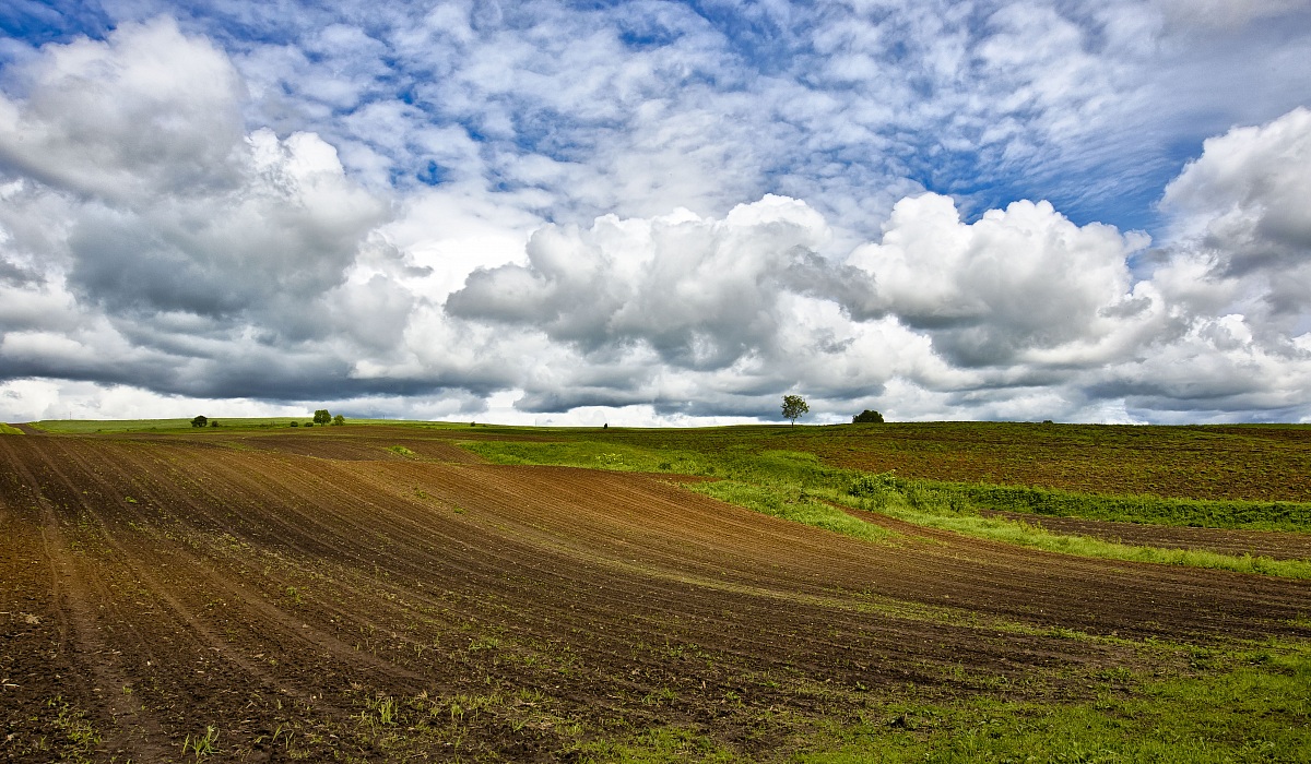 plitvice jereza fields