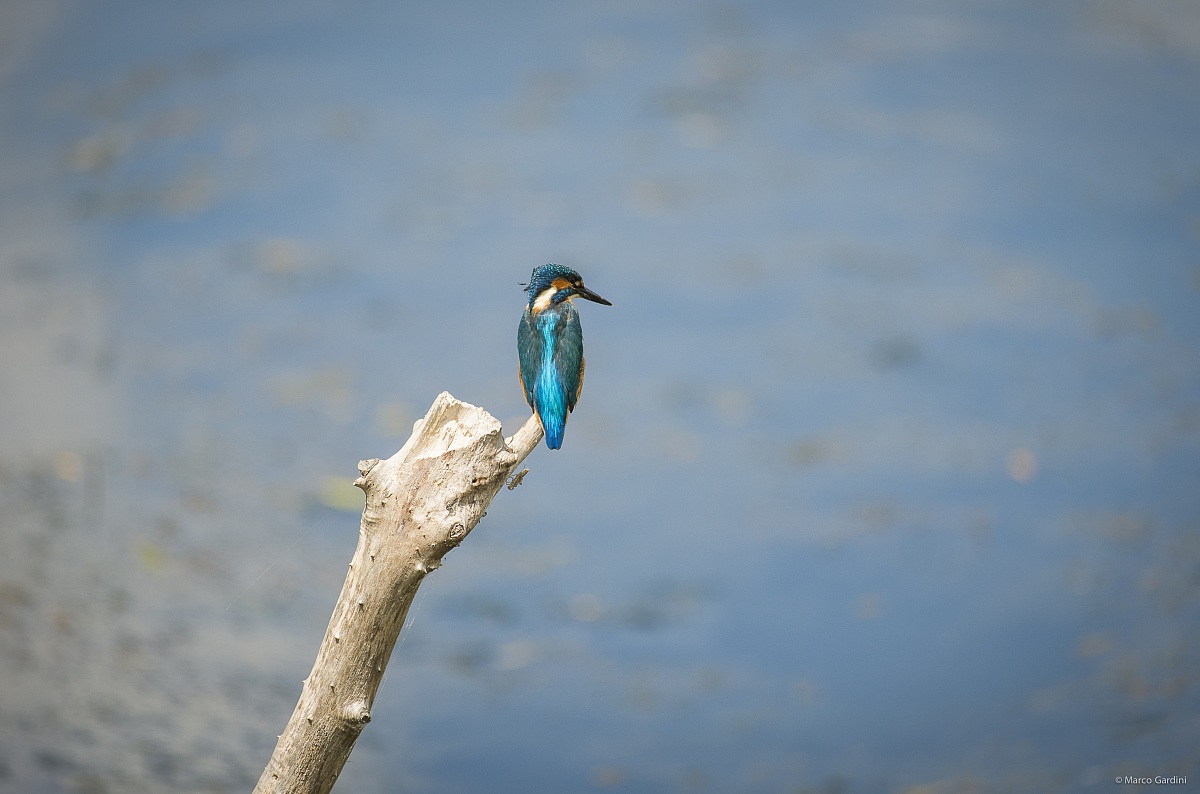 when the little one peers in, the world stops spinning.