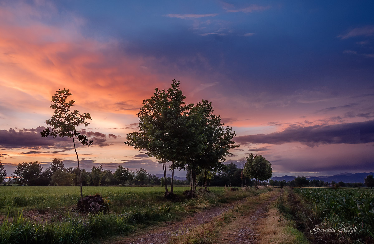 Campi al tramonto