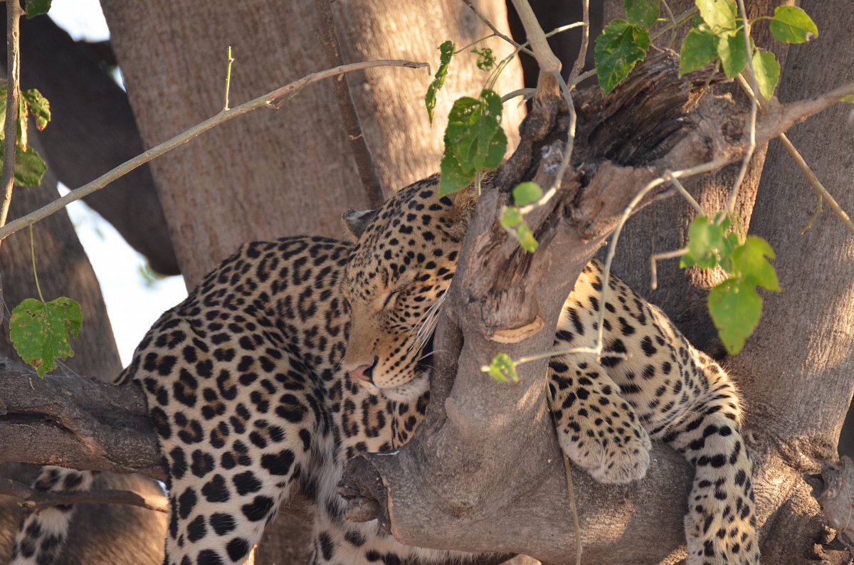 Il riposo del guerriero