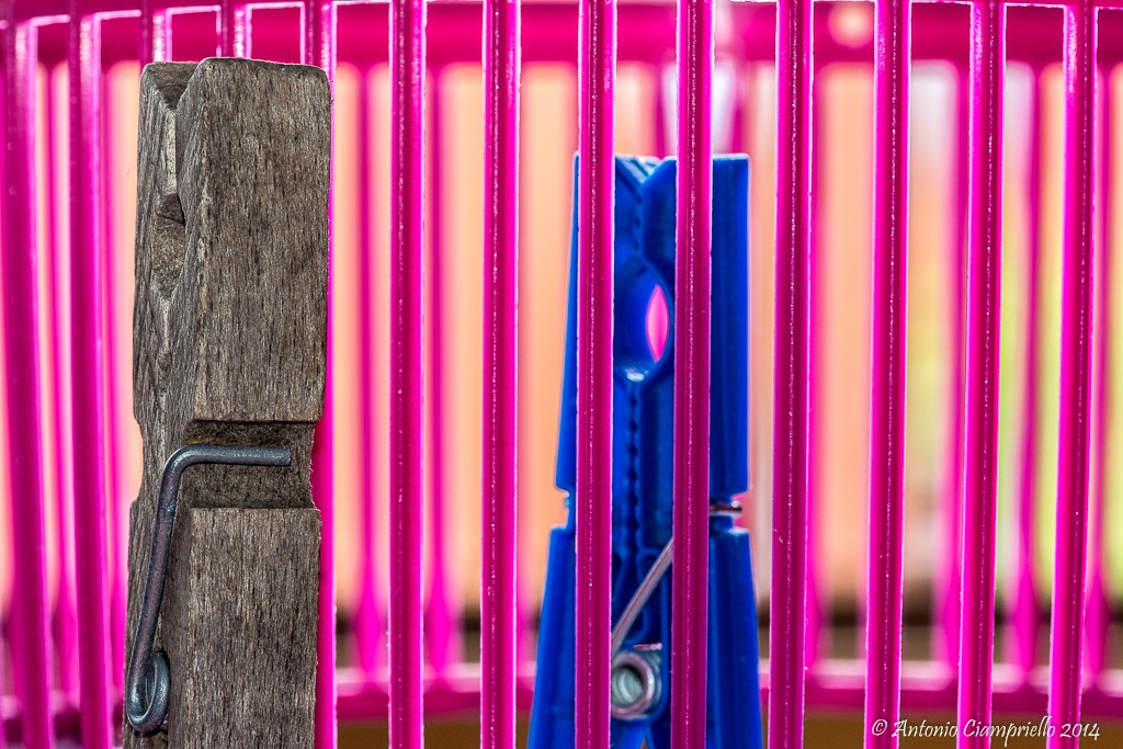 Mollare quella salvietta è stato un grave errore!