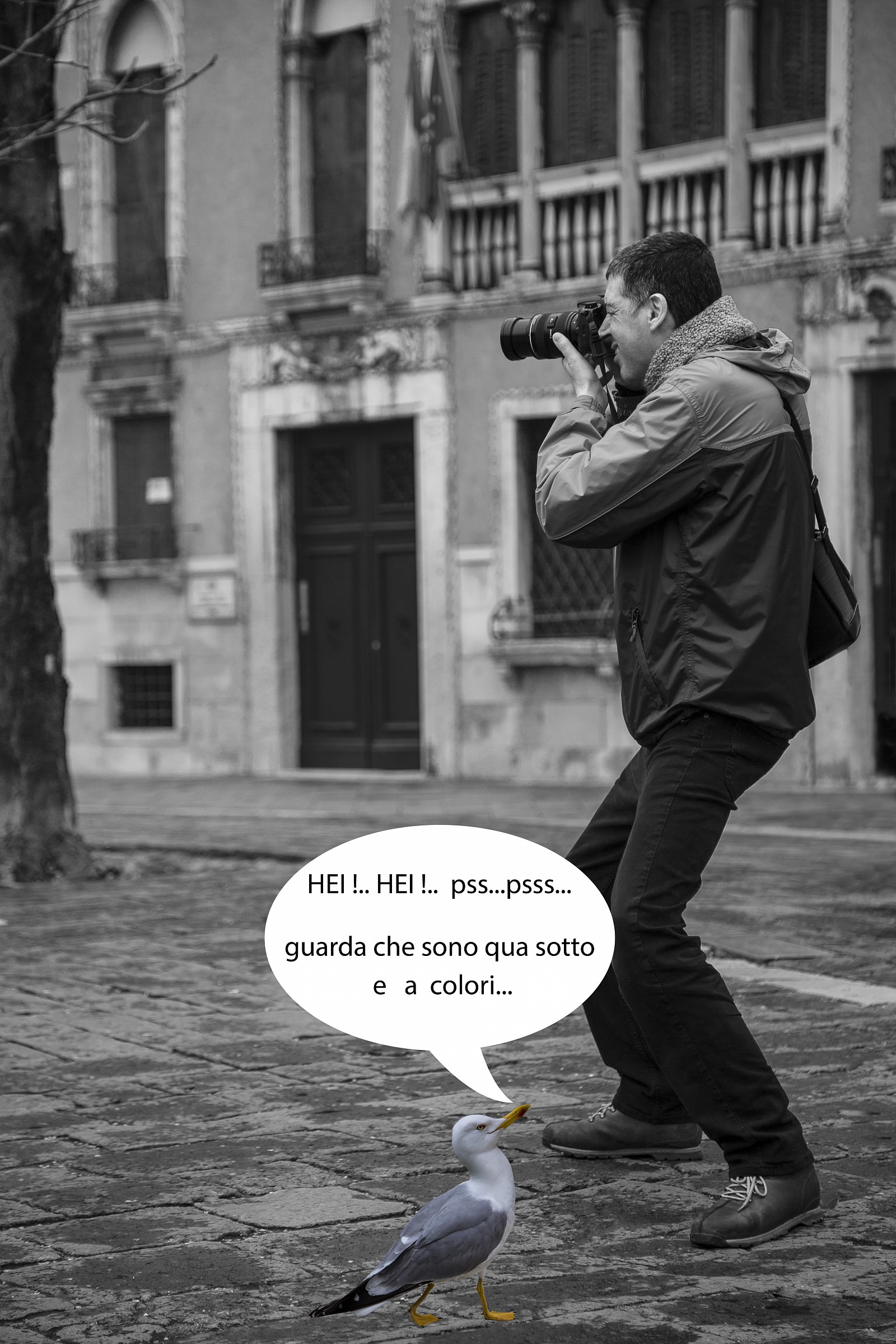 Roby ( da idea copiata)