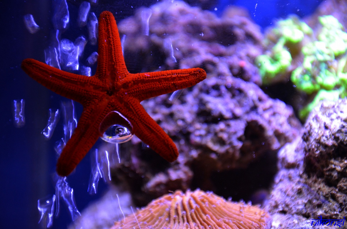 Air .... even the stars do!