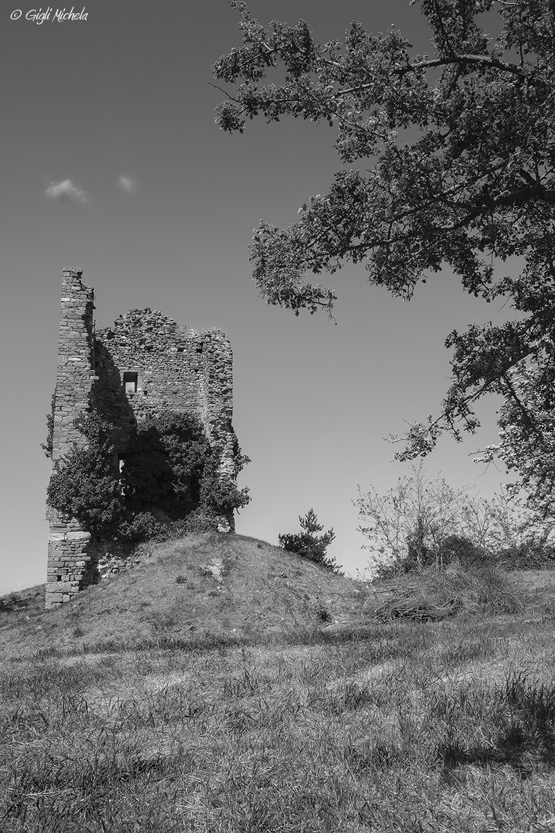 Torre di Castelnuovo (fc)