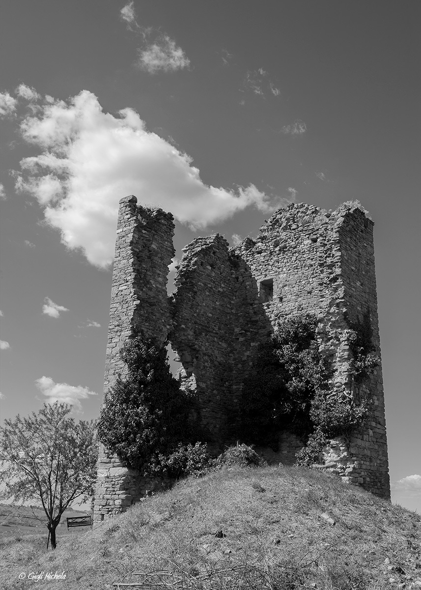 Torre di Castelnuovo (fc)