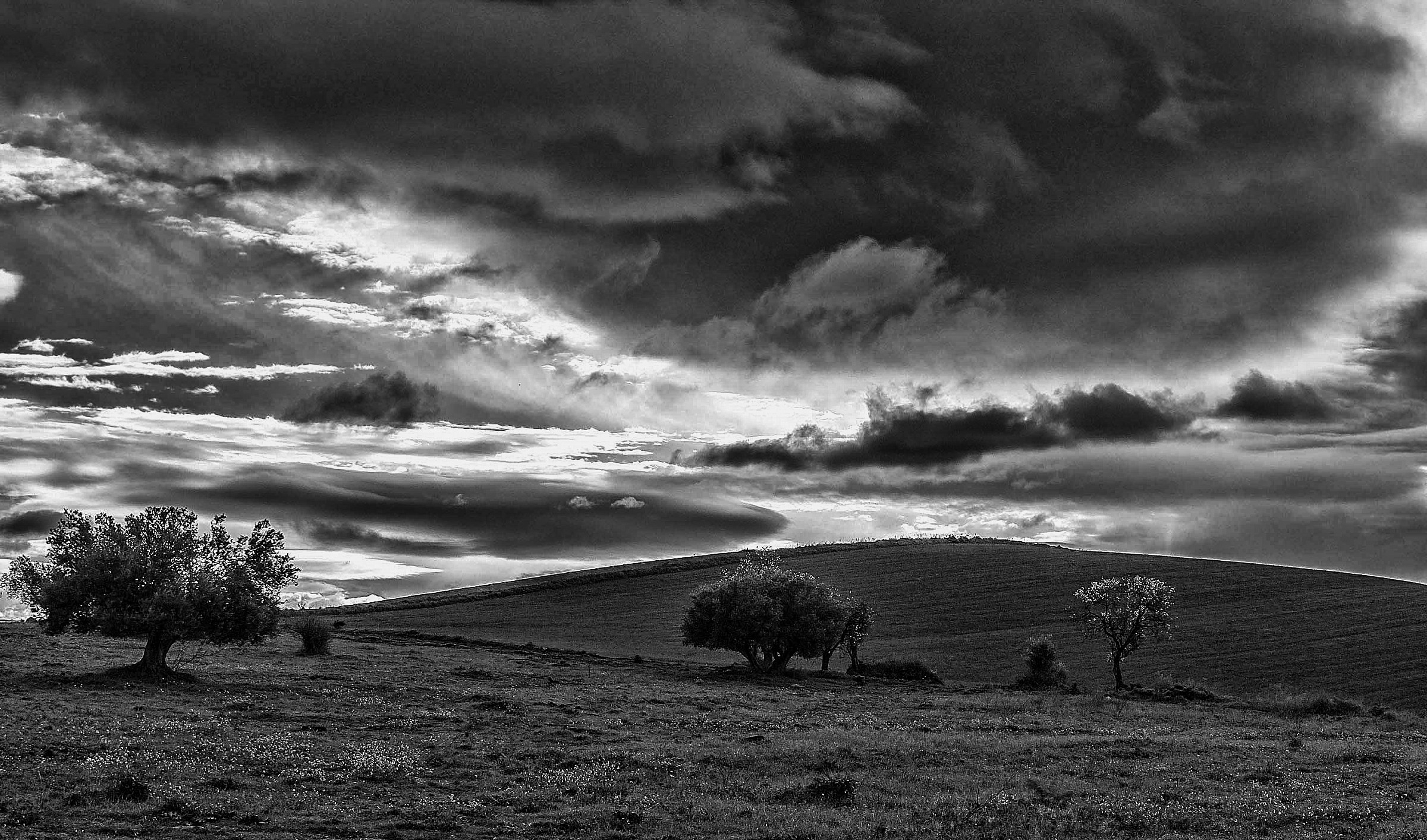 Waiting for the summer ...