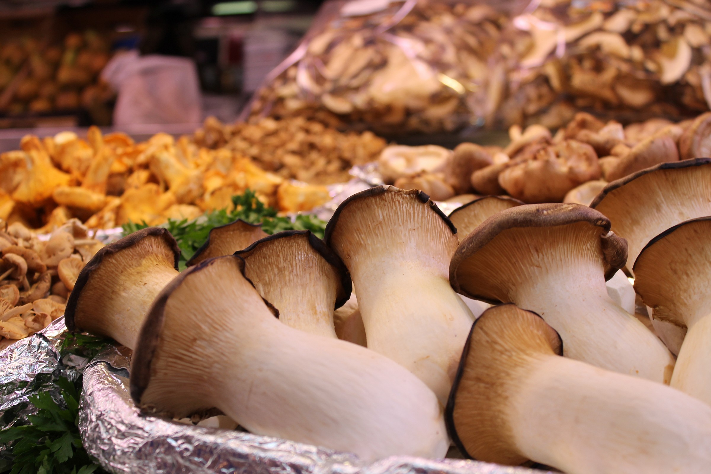 At the Mercado Central de Valencia