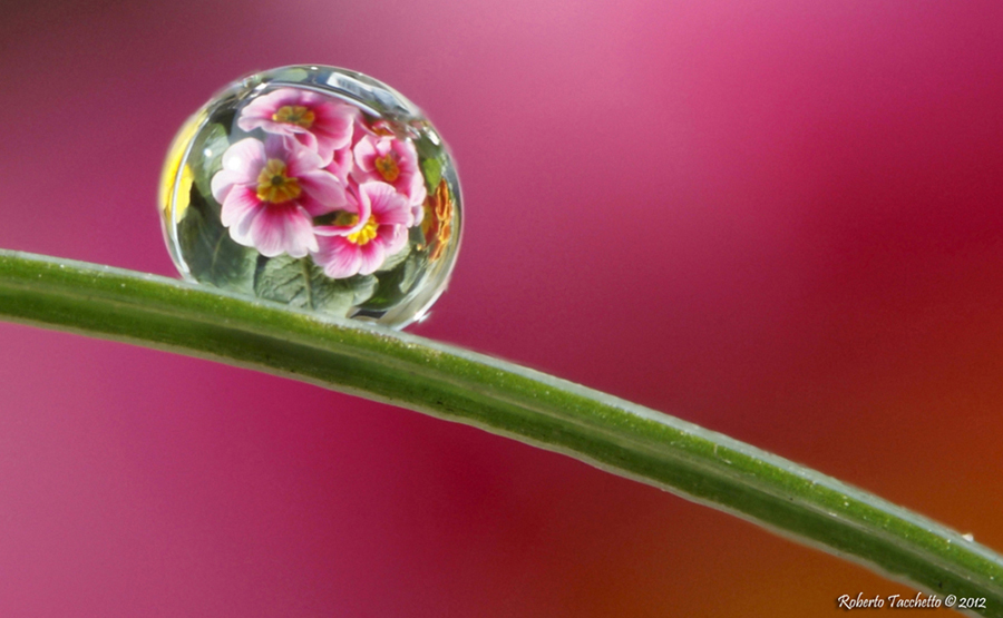 Water drop 1