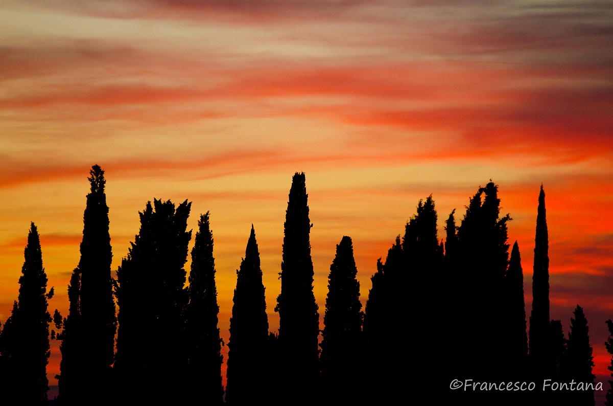 Rosso di sera.........