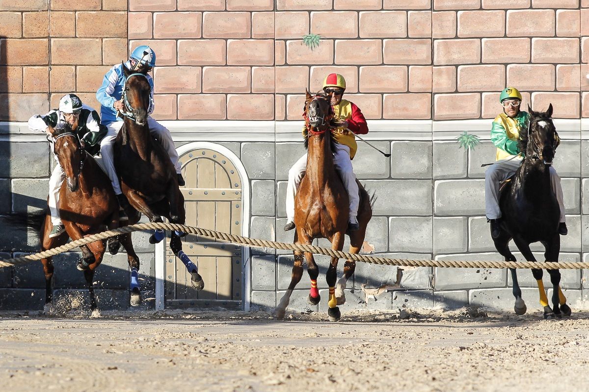 Sunday, June 1, 2014 - Palio di Legnano