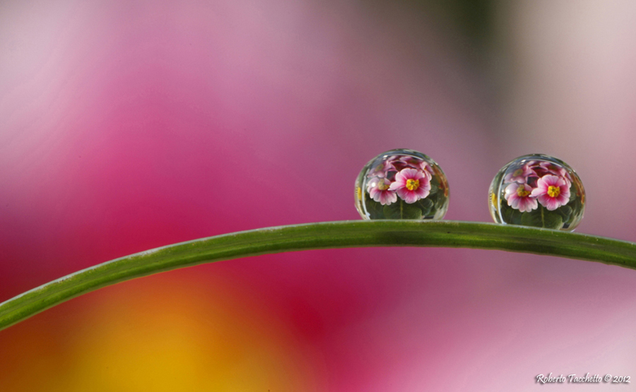 Water drop 3